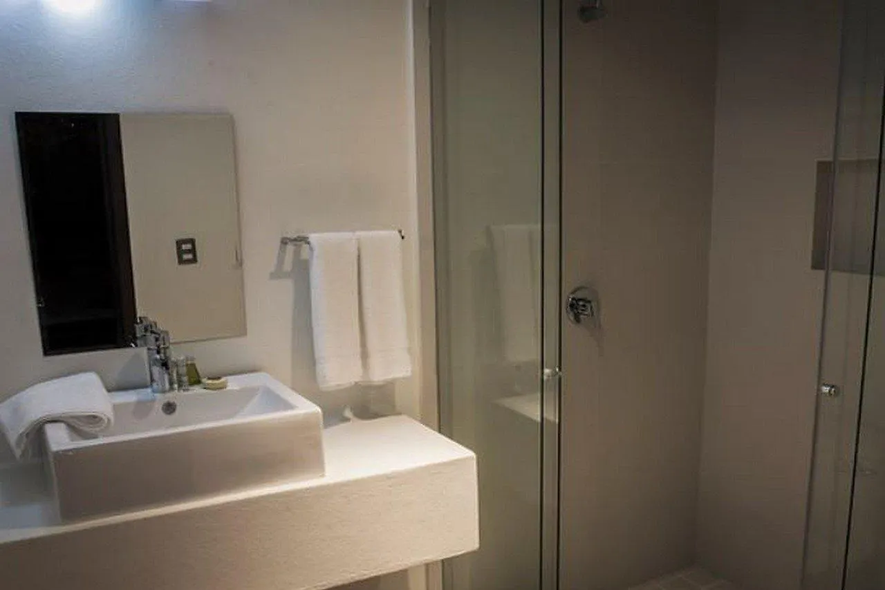 ****  Hotel Platino Expo Guadalajara Messico